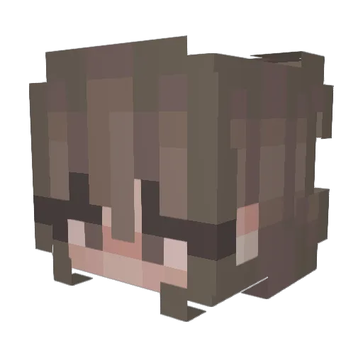 Elixo9 Minecraft avatar head, 3D render