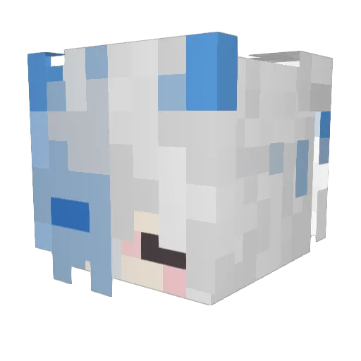Elixvyn Minecraft avatar head, 3D render