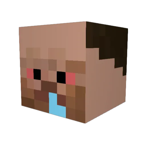 EliyaTheCool2015 Minecraft avatar head, 3D render