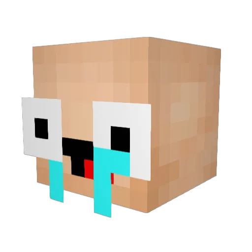 Eliyau2002 Minecraft avatar head, 3D render