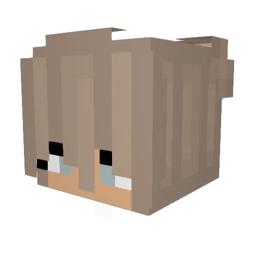 Elizabeth12 Minecraft avatar head, 3D render