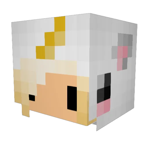 Elizabruh Minecraft avatar head, 3D render