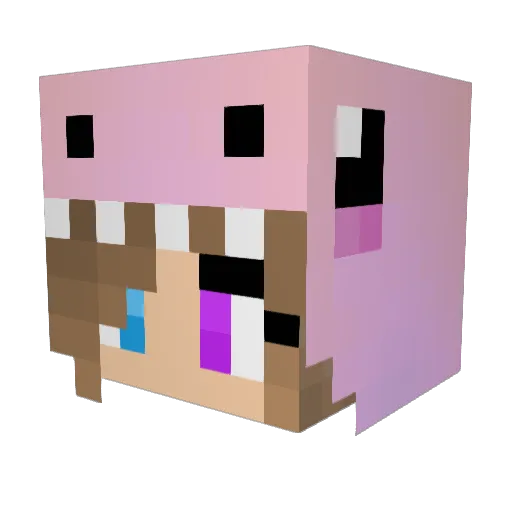 Elizauquae Minecraft avatar head, 3D render