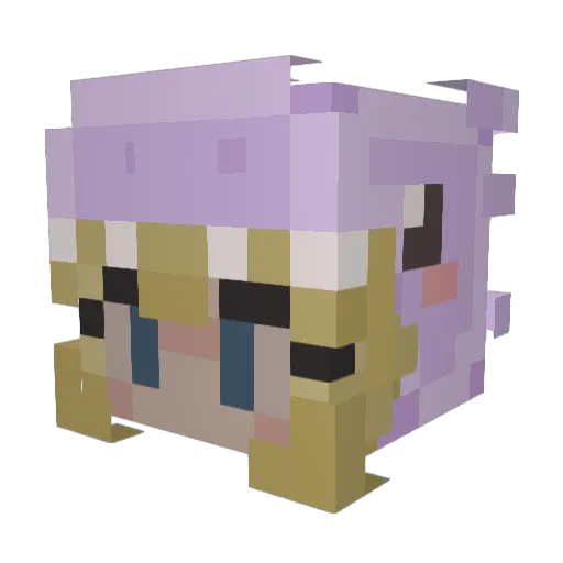 ElizeJane Minecraft avatar head, 3D render