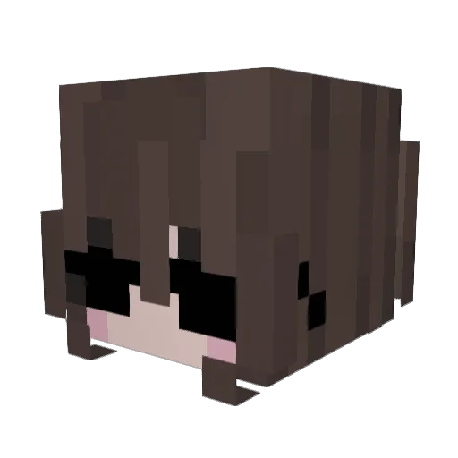 Elizzco0l Minecraft avatar head, 3D render