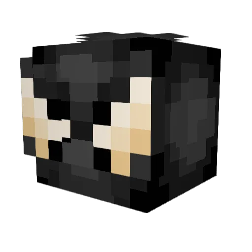 Eljan023 Minecraft avatar head, 3D render