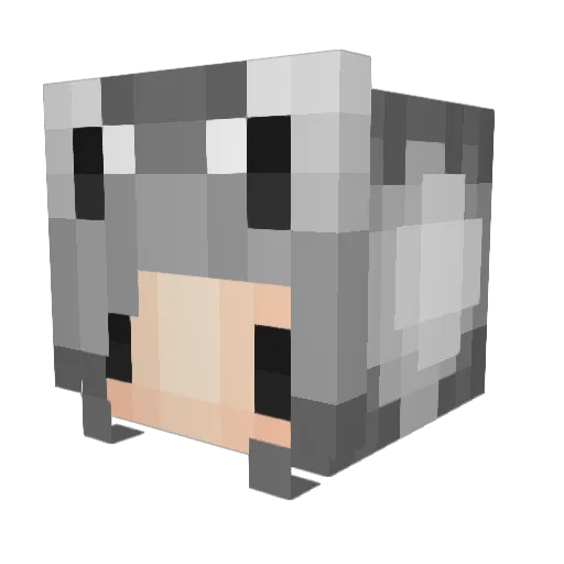Elkat196 Minecraft avatar head, 3D render