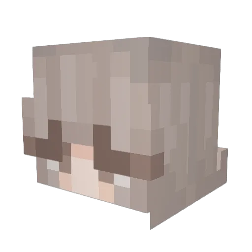 EllBEll15 Minecraft avatar head, 3D render
