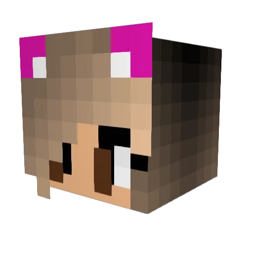 Ella134 Minecraft avatar head, 3D render