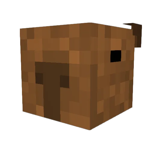 Ella264 Minecraft avatar head, 3D render