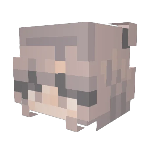 Ella5559 Minecraft avatar head, 3D render
