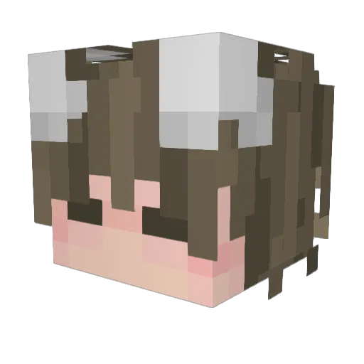 EllaEDB Minecraft avatar head, 3D render