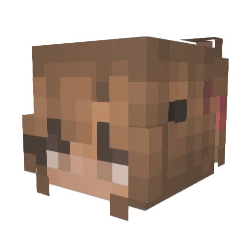 EllaIsCool2010 Minecraft avatar head, 3D render