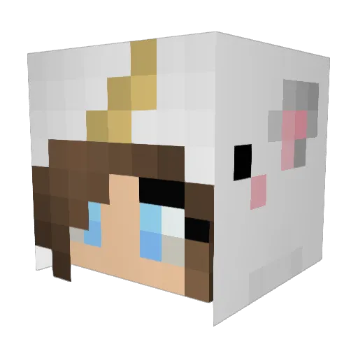 EllaLily Minecraft avatar head, 3D render