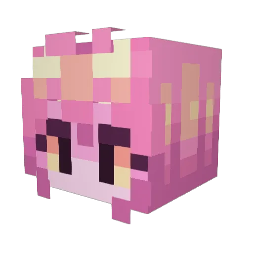 EllaLynn0902 Minecraft avatar head, 3D render