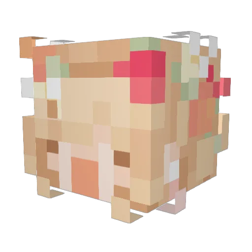 EllaSoffi Minecraft avatar head, 3D render
