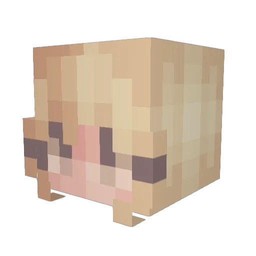 EllaTheEmu Minecraft avatar head, 3D render