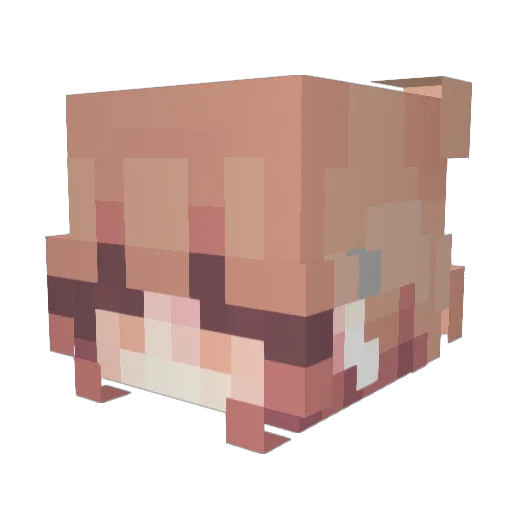 Ella_Ex Minecraft avatar head, 3D render