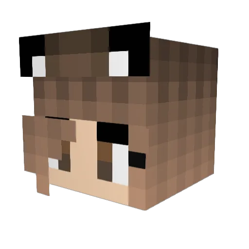 Ella_Gamer_261 Minecraft avatar head, 3D render