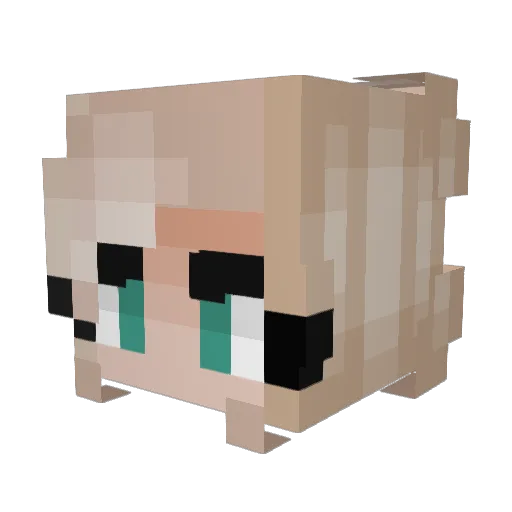 Ellagant17 Minecraft avatar head, 3D render