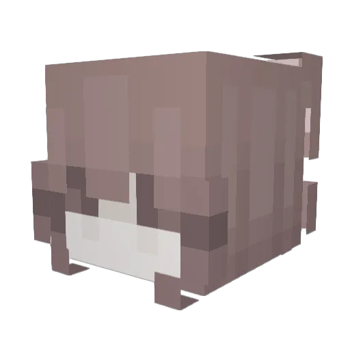Ellalaine Minecraft avatar head, 3D render