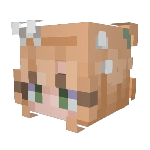 Ellarii Minecraft avatar head, 3D render