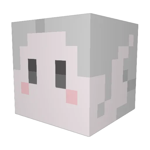 Ellawyyn Minecraft avatar head, 3D render