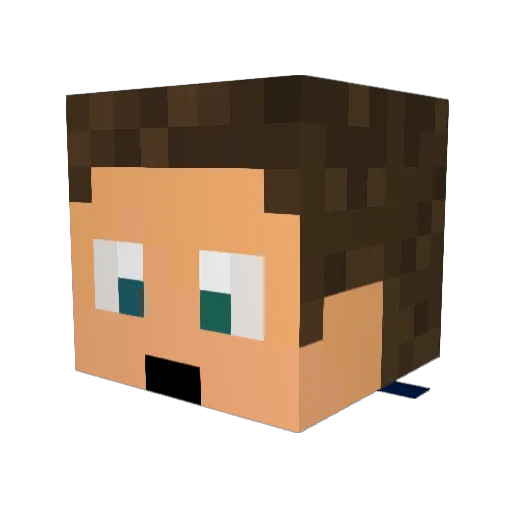 Ellcons Minecraft avatar head, 3D render