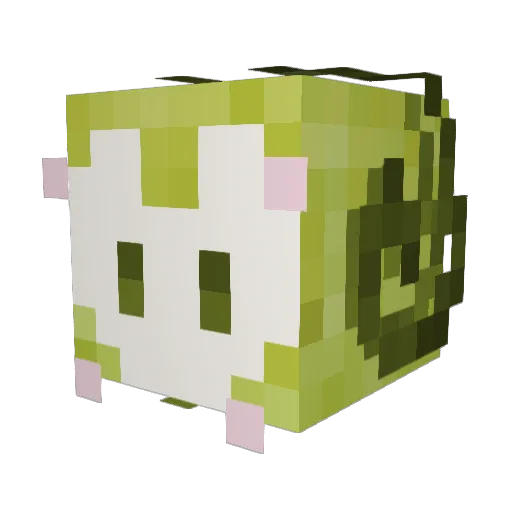ElleLeigh236 Minecraft avatar head, 3D render