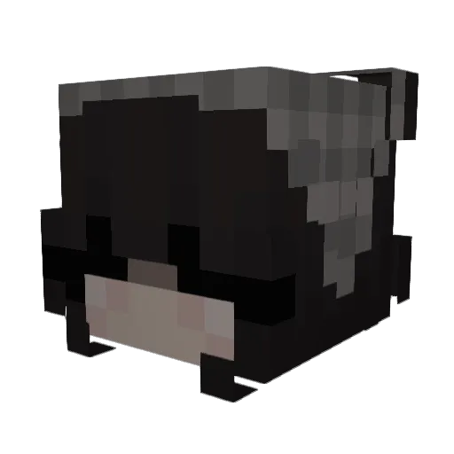 Elle_SN Minecraft avatar head, 3D render