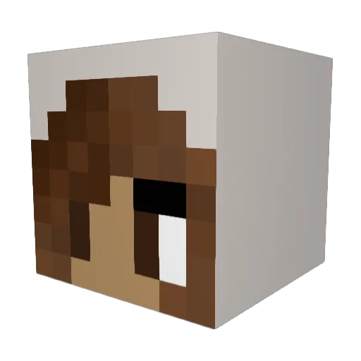 Elle_S_ii Minecraft avatar head, 3D render
