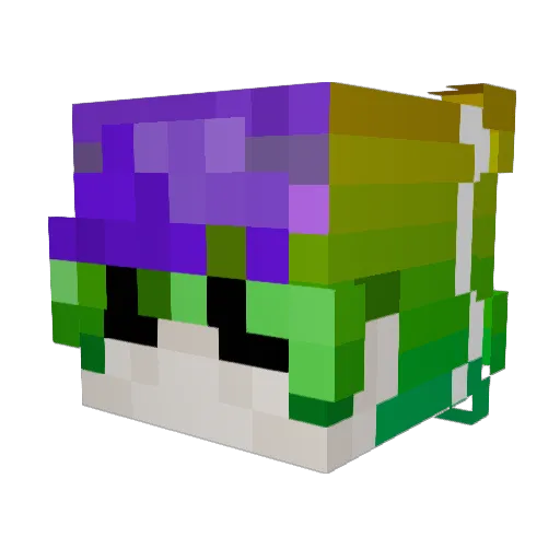 Elle_dubs Minecraft avatar head, 3D render