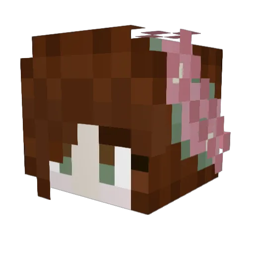 Ellebellebean Minecraft avatar head, 3D render