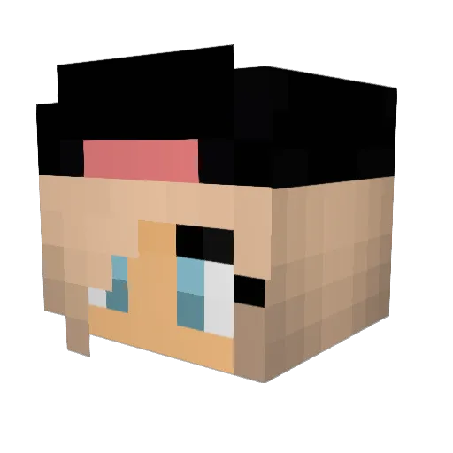Ellecooper Minecraft avatar head, 3D render