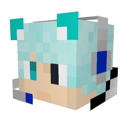 Ellectraills978 Minecraft avatar head, 3D render