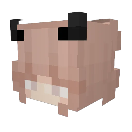 Ellee11 Minecraft avatar head, 3D render