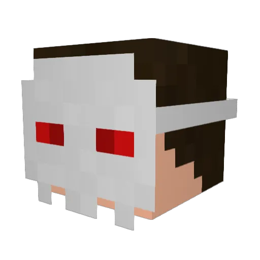 Ellemon21 Minecraft avatar head, 3D render