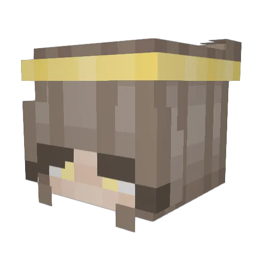 Ellen_Bee Minecraft avatar head, 3D render