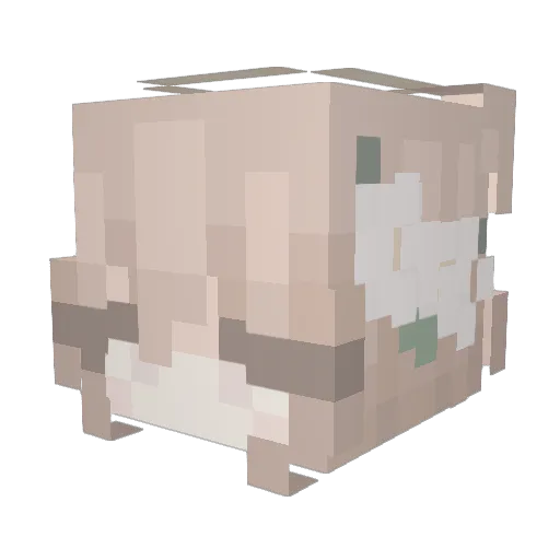 Ellen_dodds07 Minecraft avatar head, 3D render