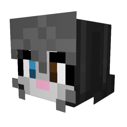 ElleryS0lar Minecraft avatar head, 3D render