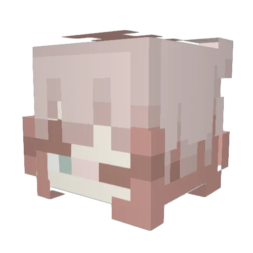 Ellery_ Minecraft avatar head, 3D render