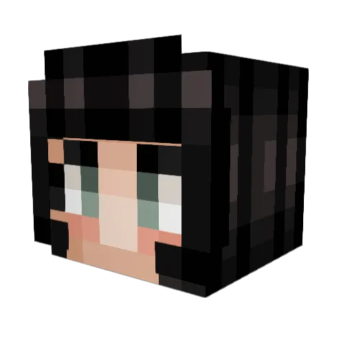 Ellexon Minecraft avatar head, 3D render
