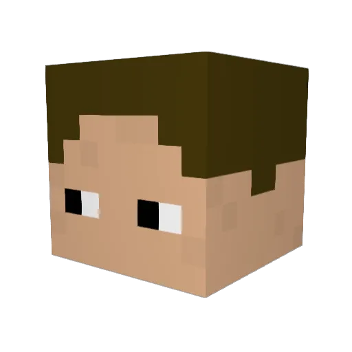 Elley1 Minecraft avatar head, 3D render