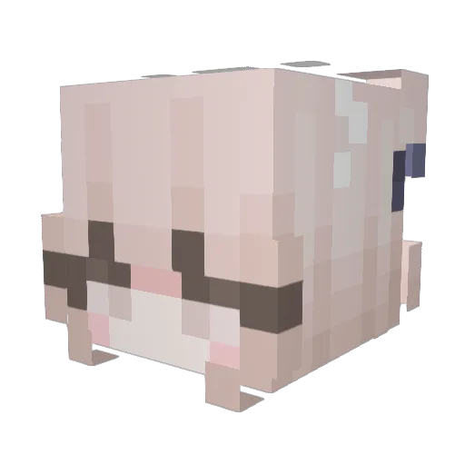 Elleytk Minecraft avatar head, 3D render