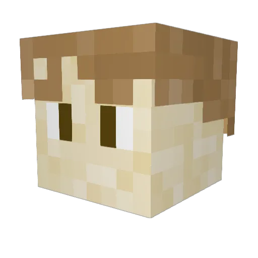 Ellibotbot Minecraft avatar head, 3D render