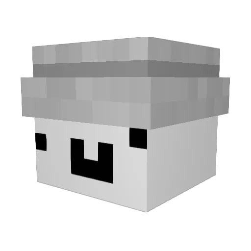 Ellibuus Minecraft avatar head, 3D render