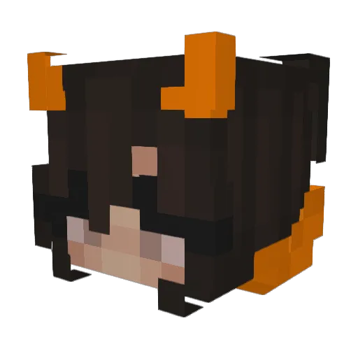 Ellicool12 Minecraft avatar head, 3D render