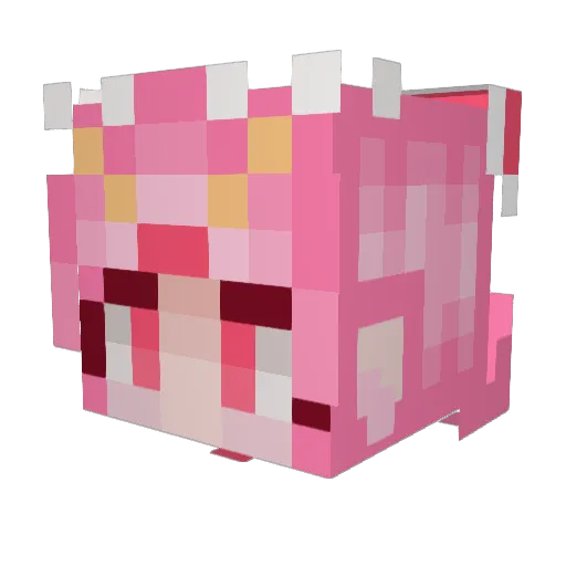 EllieJiang1 Minecraft avatar head, 3D render