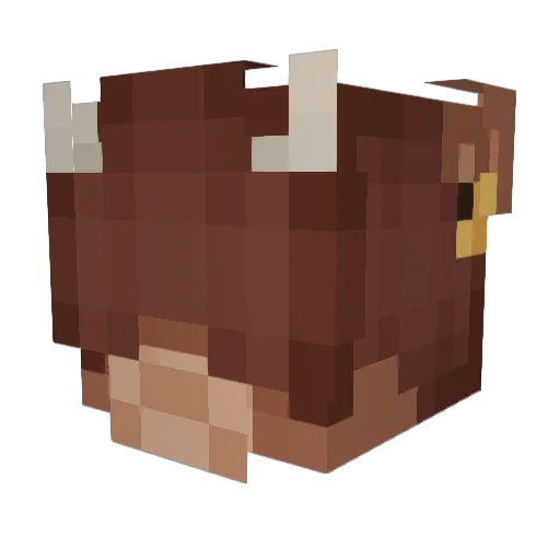 EllieOnDaTelly Minecraft avatar head, 3D render