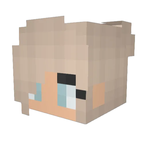 Ellie_Llama Minecraft avatar head, 3D render